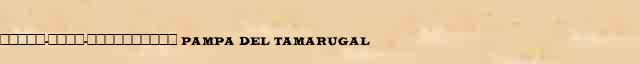�����-����-���������� (Pampa del Tamarugal) ������� ���������(������) � ������� ����������������� �������� ������� 